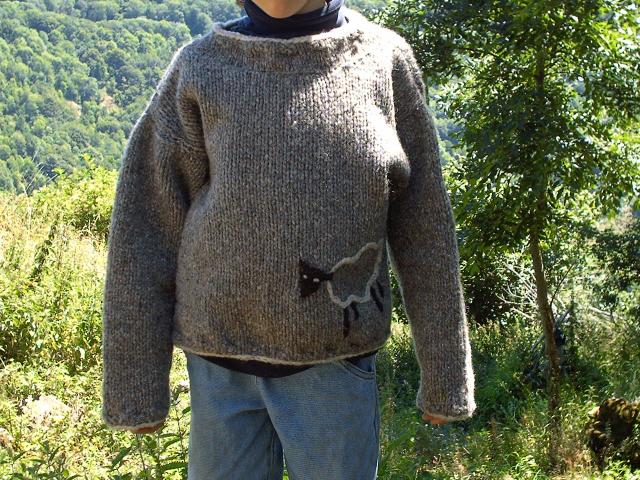 http://img86.xooimage.com/files/2/3/b/pull-003-36c4ebc.jpg