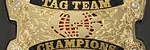 Tag Team Champion Tag Team Champion