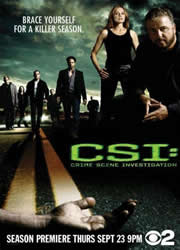 CSI Las Vegas 13x23 Sub Español Online